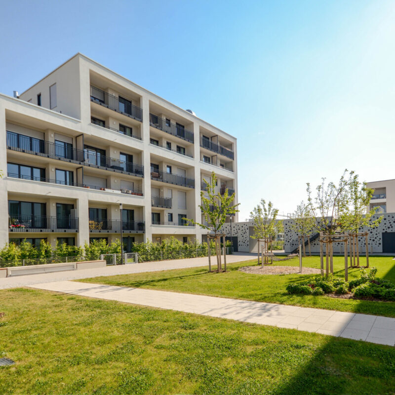 Espaces verts Riedisheim 6