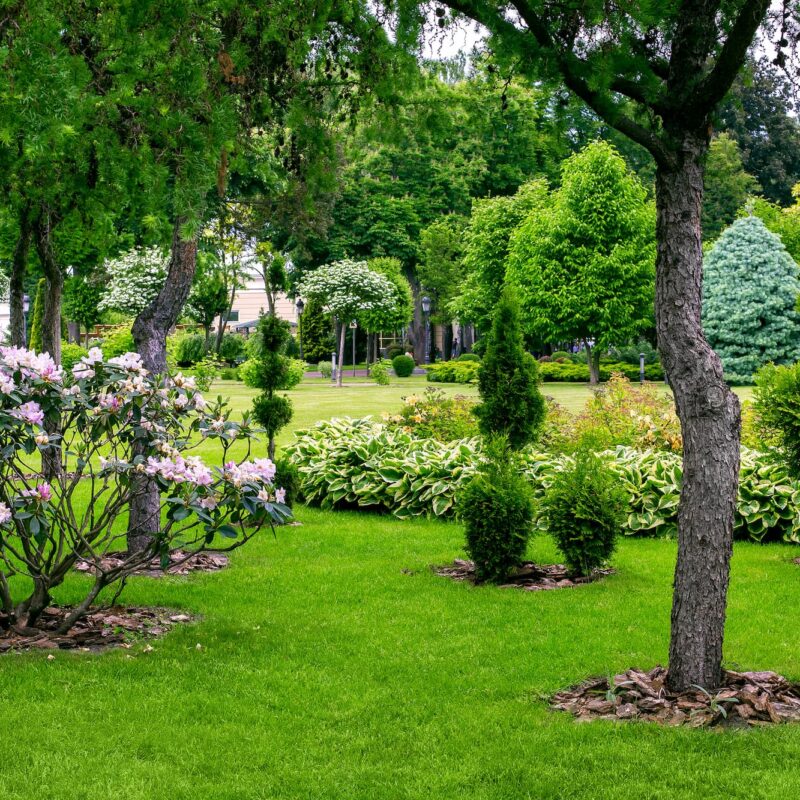 ENTRETIEN_ESPACE_VERT_COPROPRIETES_ENTREPRISES2 800X800 | As Nettoyage Entretien d’espaces verts sur mesure pour copropriétés et entreprises autour d’Issenheim près de Rixheim Illzach 1